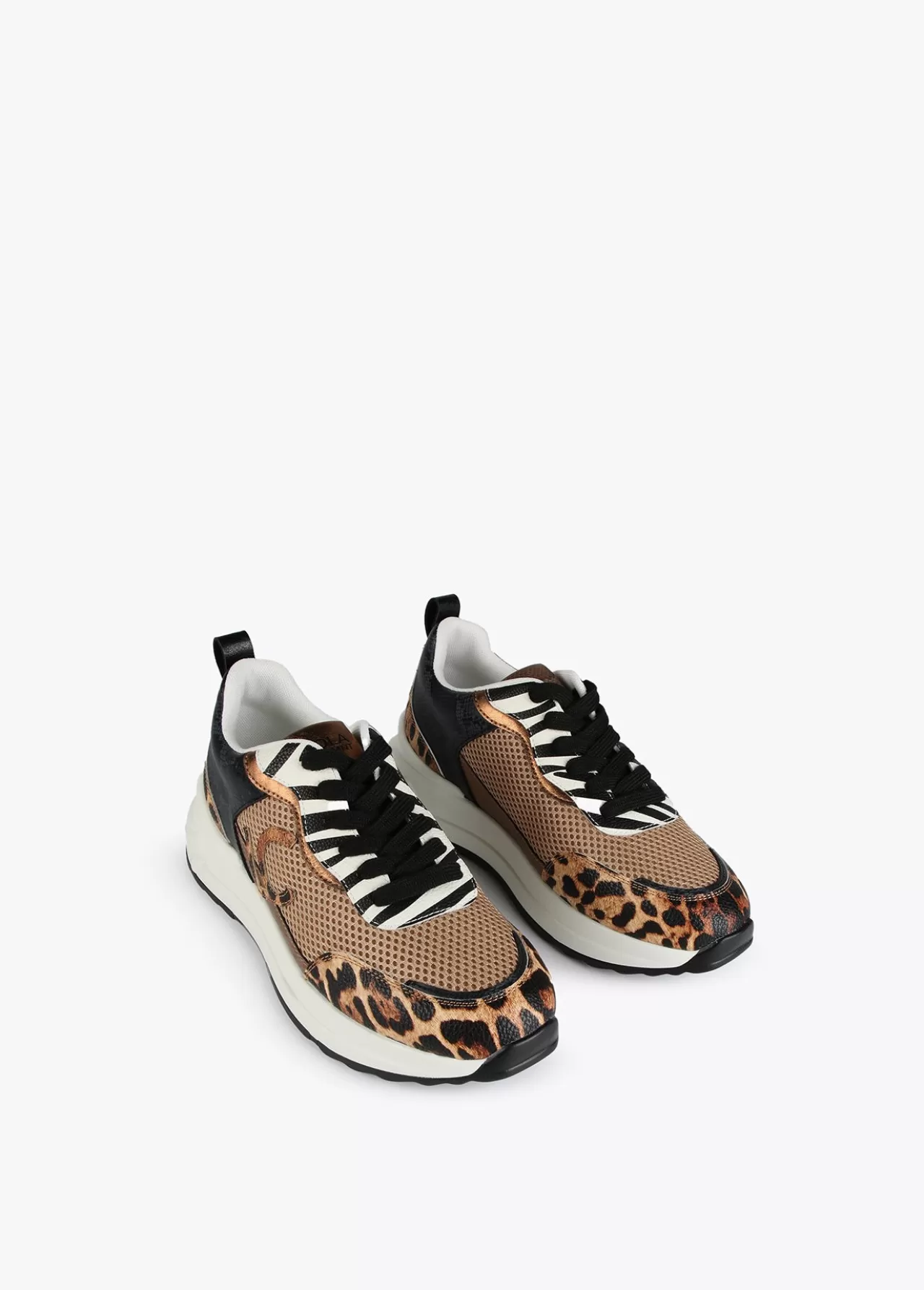 Lola Casademunt Sneakers animal print rejilla |  COLECCIÓN LOLA | Lola Casademunt MARRON Shop